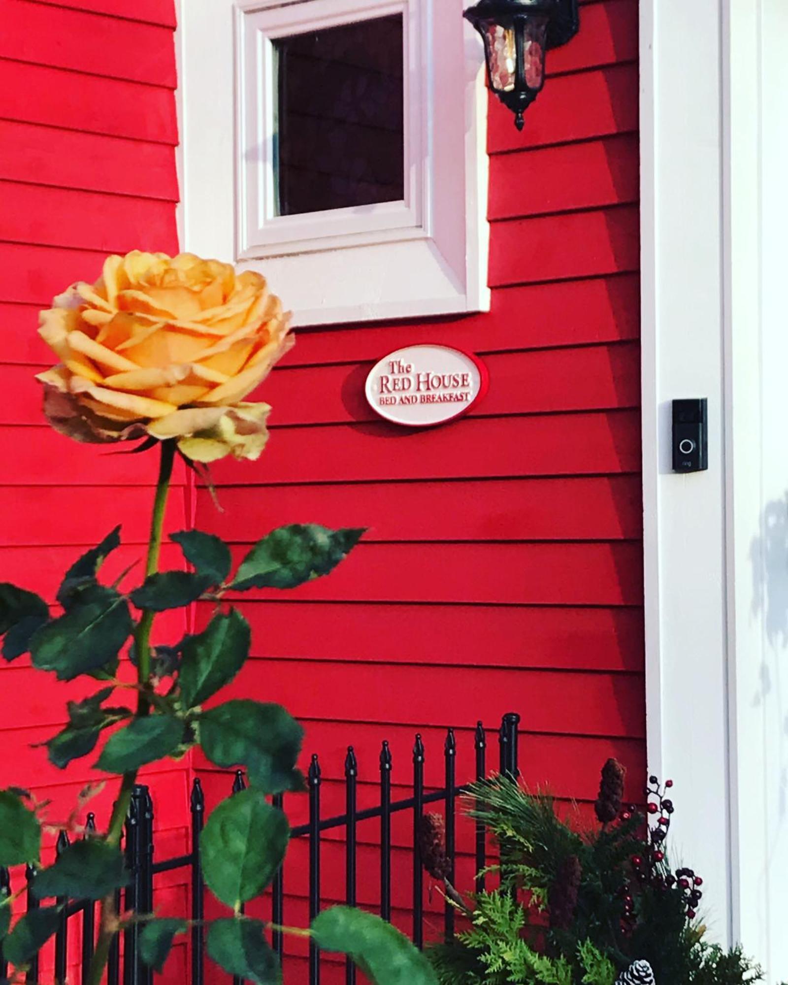 The Red House Fredericton住宿加早餐旅馆 外观 照片